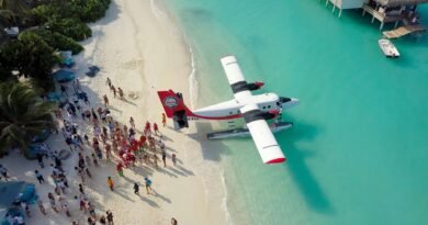 group of people near an airplane